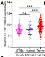 Screenshot of Figure 1A