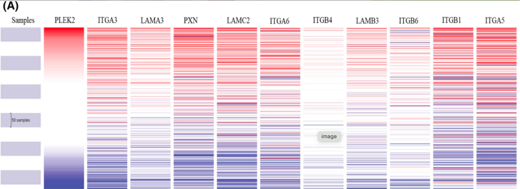 Figure 12A: Xena Visual Spreadsheet